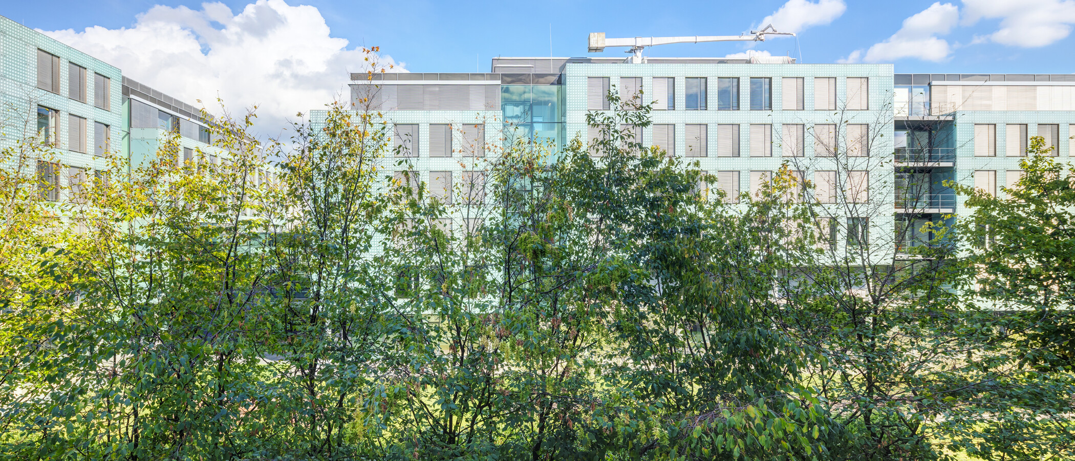 Wohnung München Schwanthalerhöhe 03 Aussicht 15033