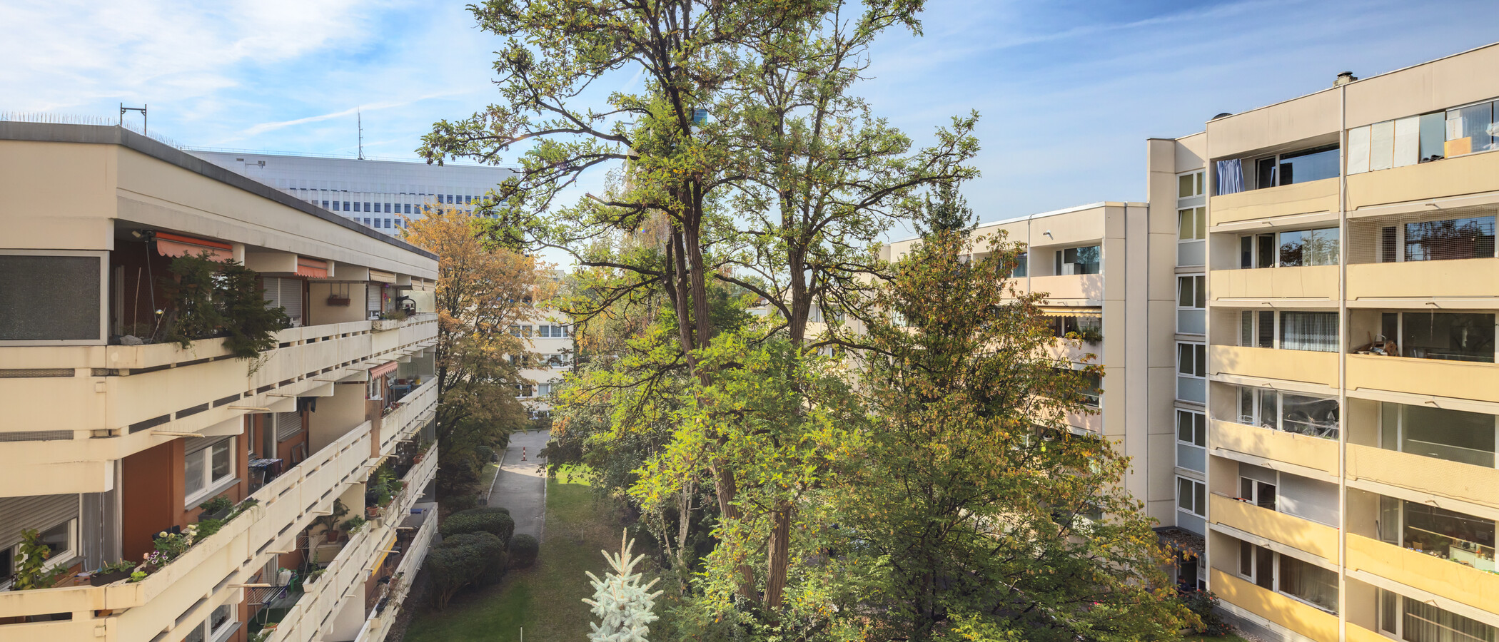 Wohnung München Pasing 01 Aussicht 15037