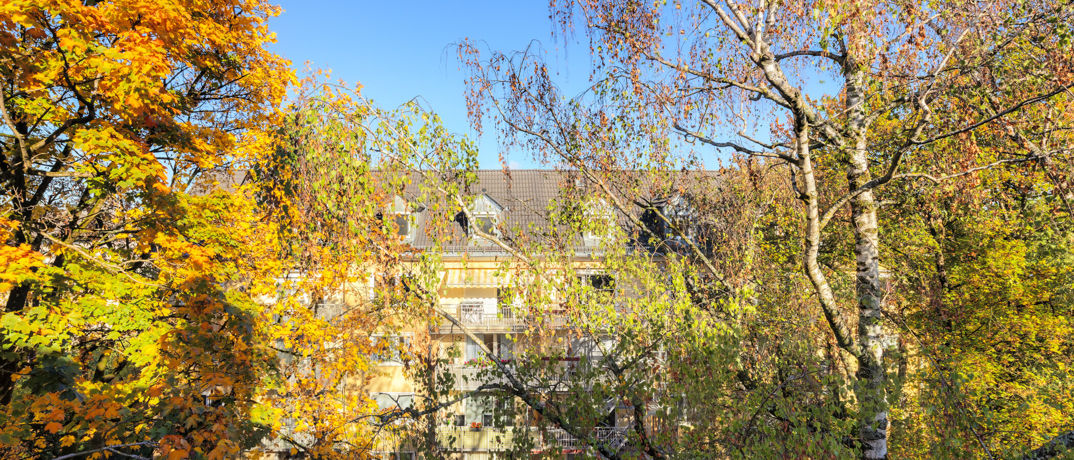 Galeriewohnung München Obergiesing 02 Aussicht 15054