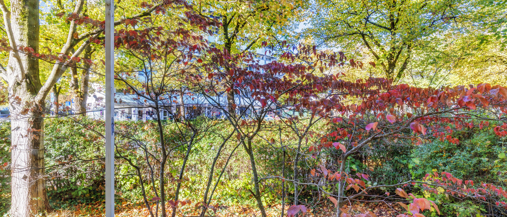 Wohnung München Fürstenried 01 Aussicht 15055