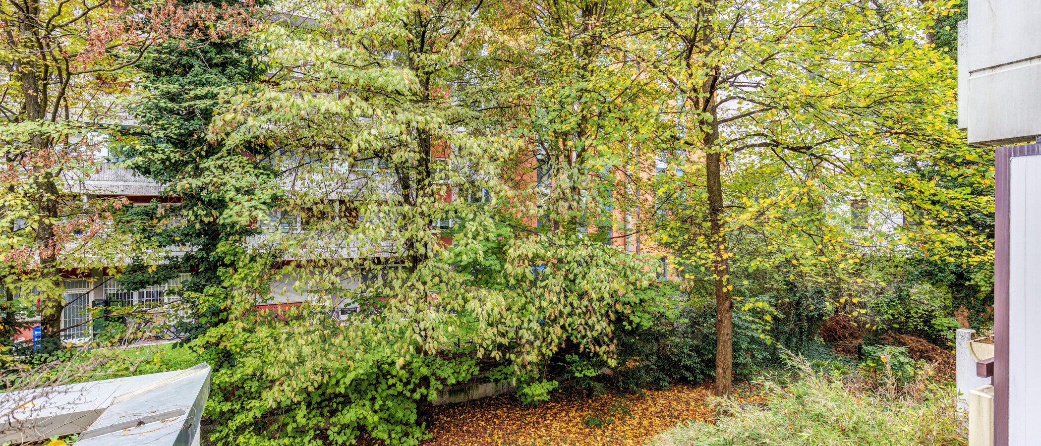 Wohnung München Schwabing-West (rund um den Hohenzollernplatz) 01 Aussicht 15057