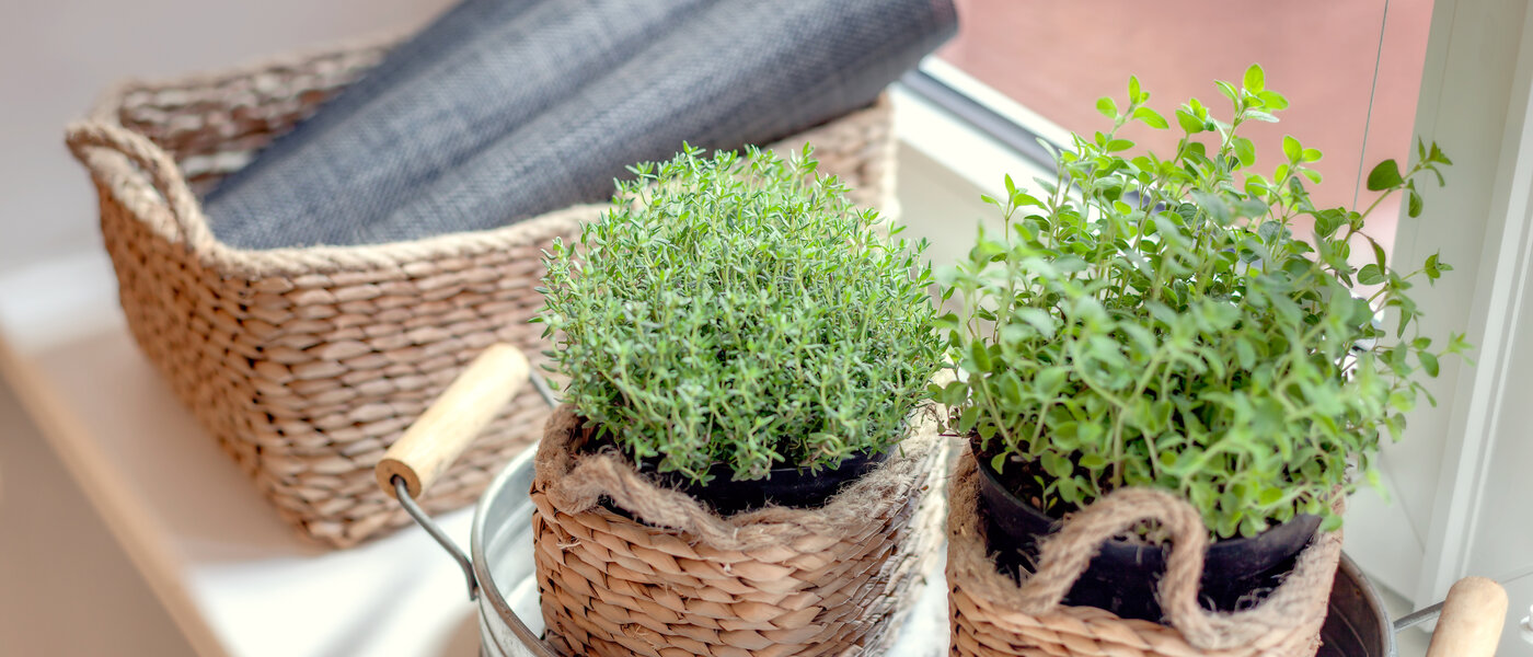 Wohnung München Gärtnerplatzviertel 04 Küche 1590