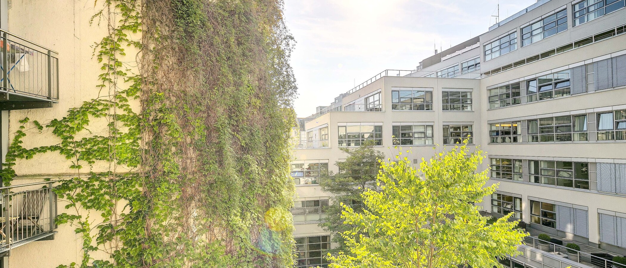 Wohnung München Maxvorstadt - Westen 02 Aussicht 1753