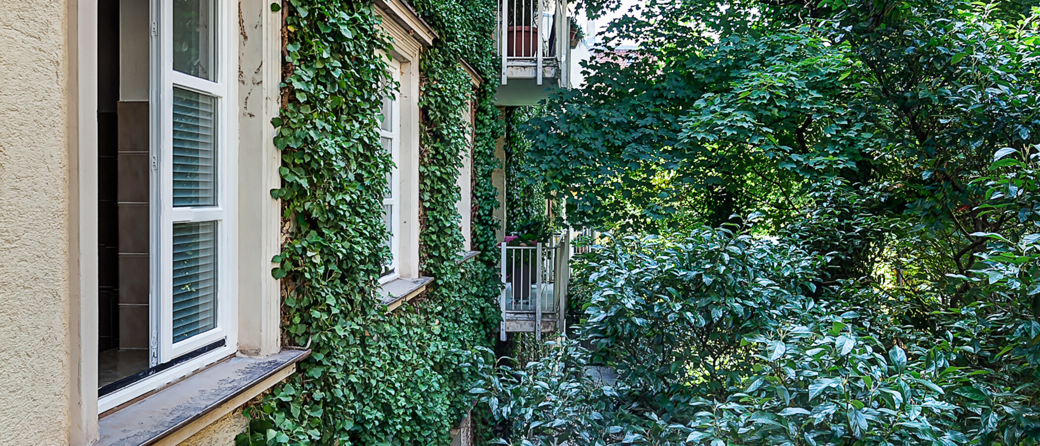Wohnung München Schwabing (links der Leopoldstraße) 01 Aussicht 1797
