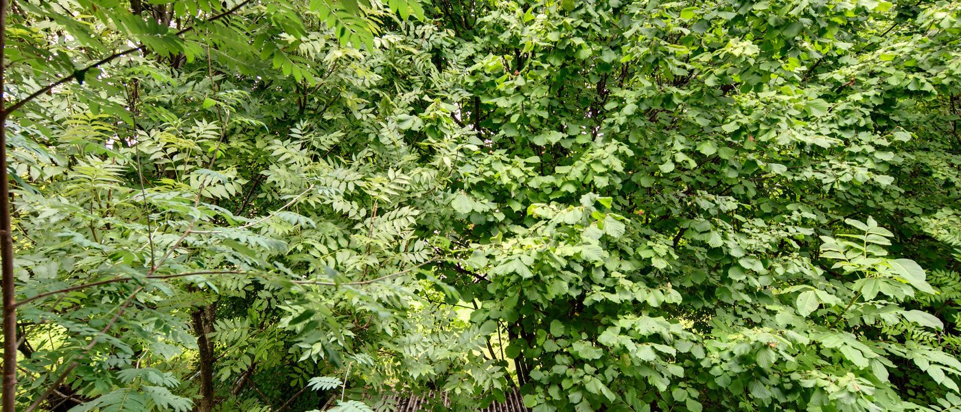 Wohnung München Großhadern 04 Aussicht 2051