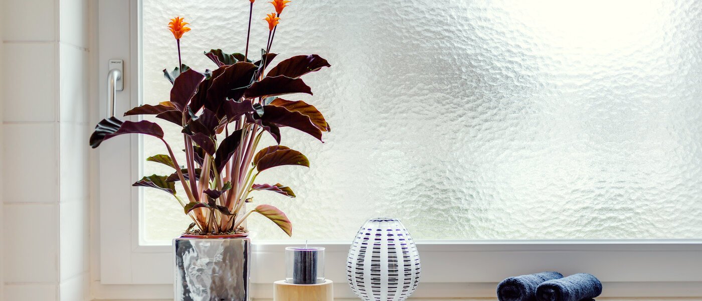 Wohnung München Solln 02 Badezimmer 227