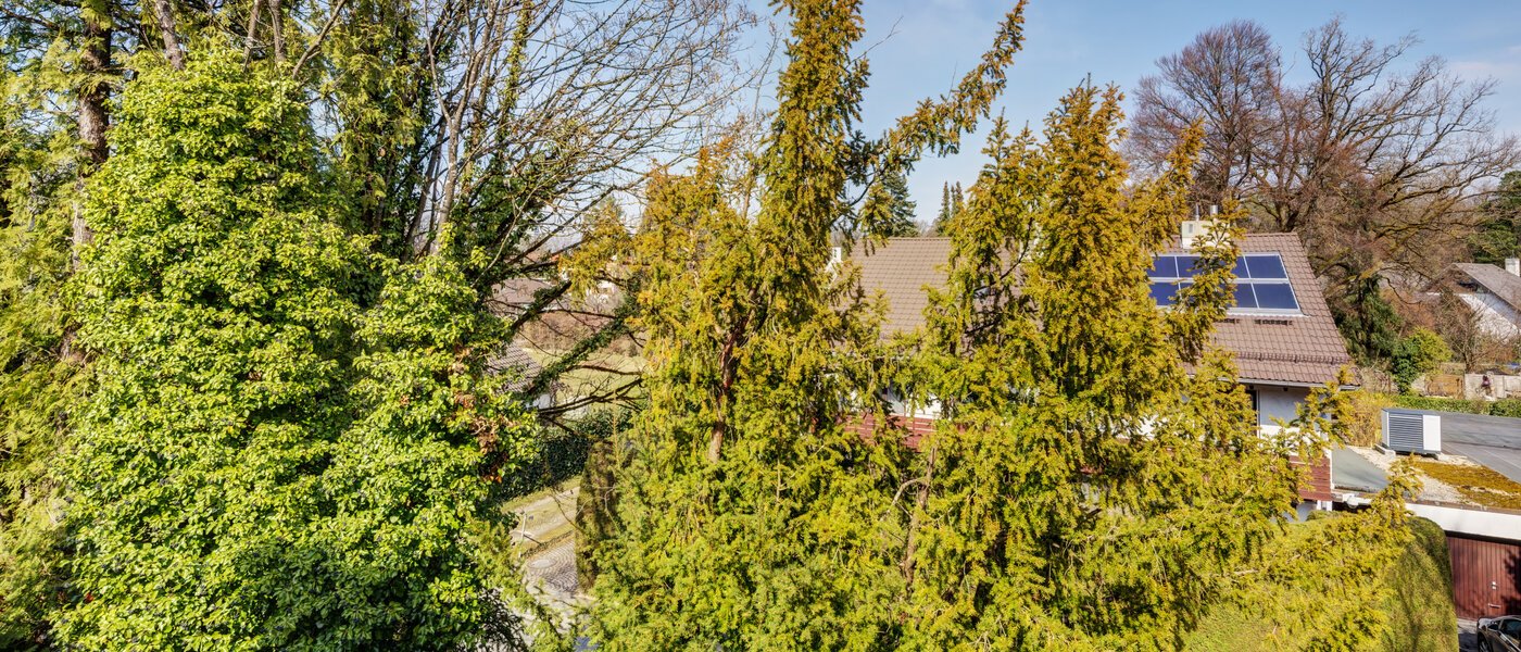 Wohnung München Solln 03 Aussicht 2378