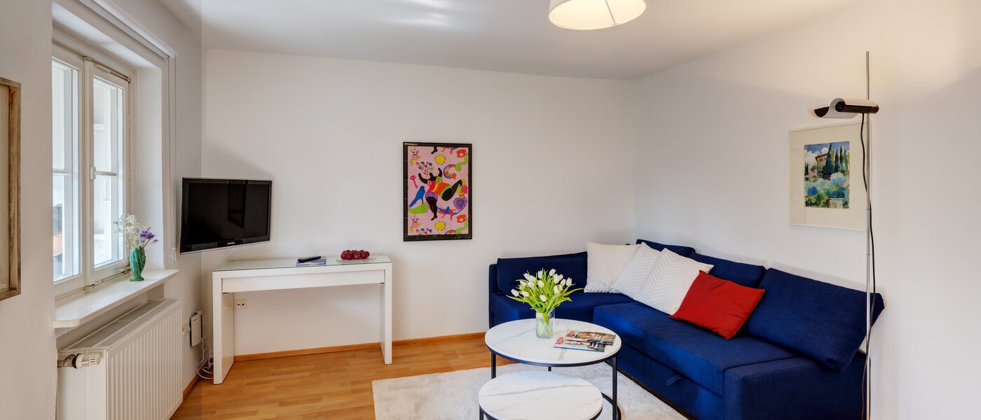 Wohnung München Solln 01 Wohnzimmer 2378