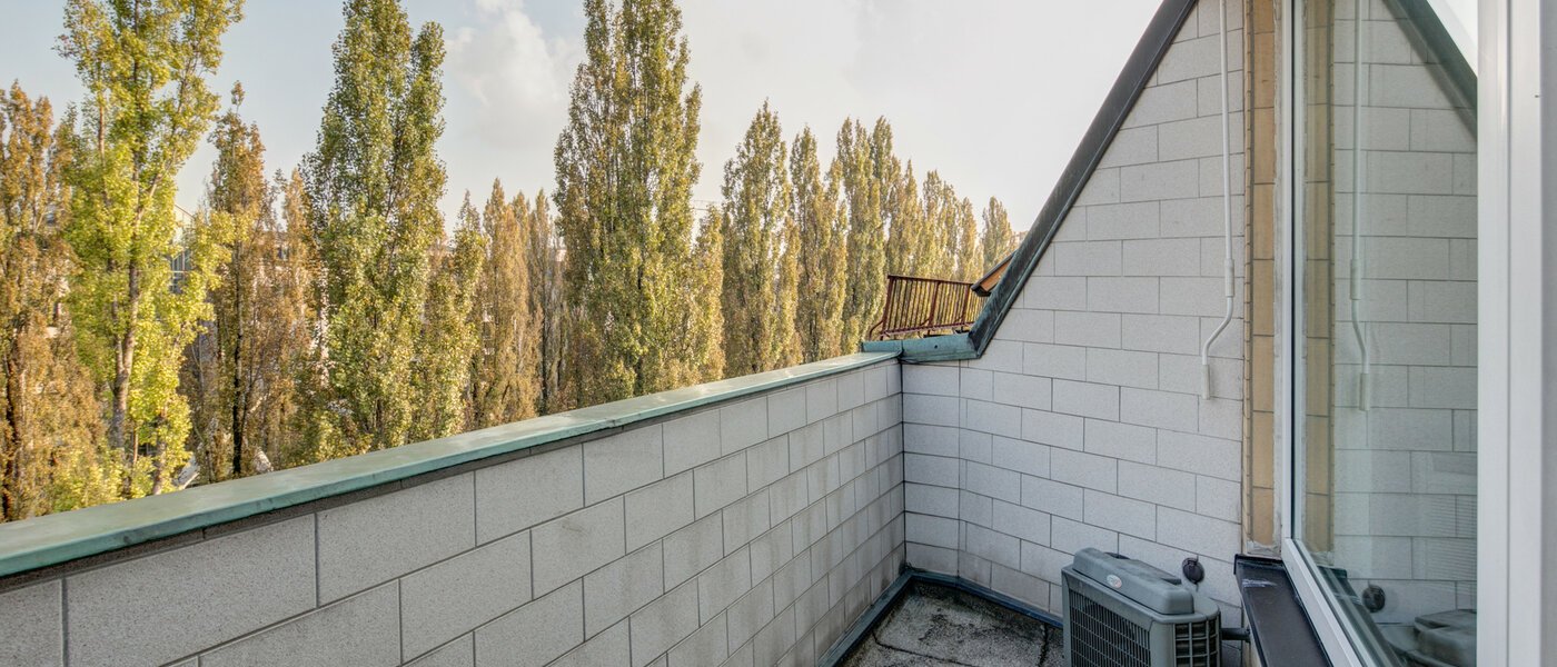 Wohnung München Schwabing (rechts der Leopoldstraße) 03 Terrasse 2486