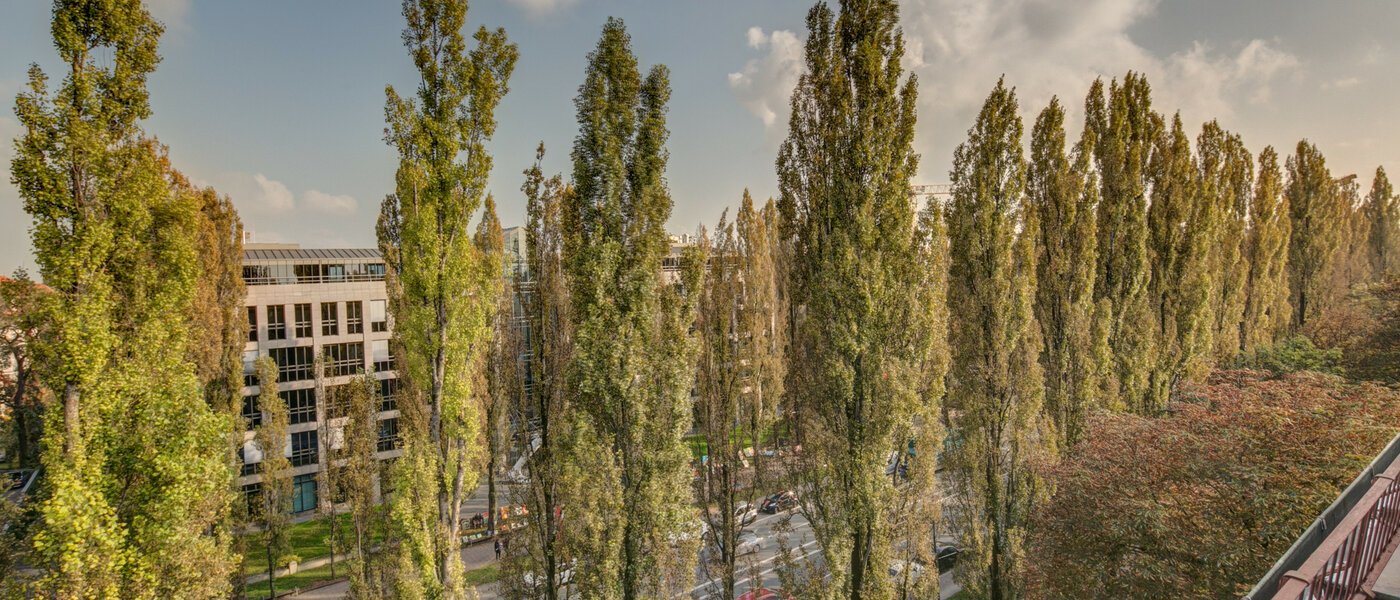 Wohnung München Schwabing (rechts der Leopoldstraße) 01 Aussicht 2486