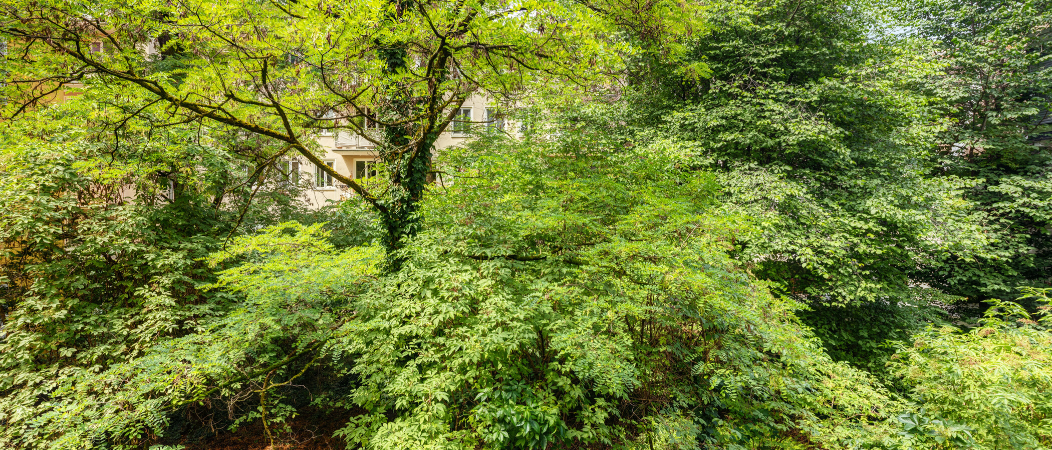Apartment München Schwabing-West 02 Aussicht 2711