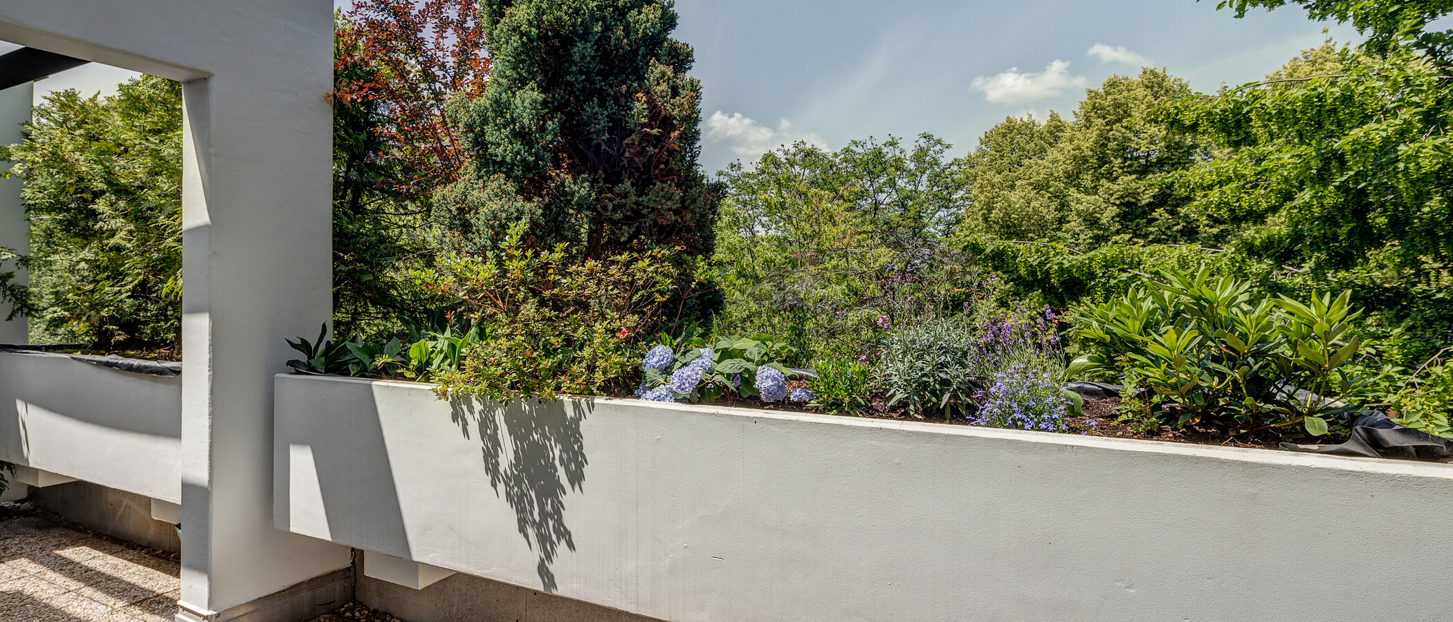Dachterrassenwohnung München Neuhausen 02 Terrasse 2774