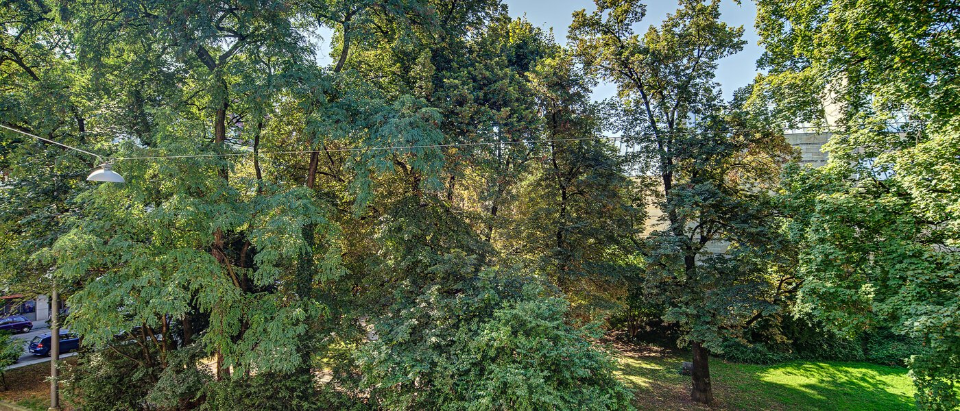 Wohnung München Maxvorstadt - Museumsviertel 02 Aussicht 2934
