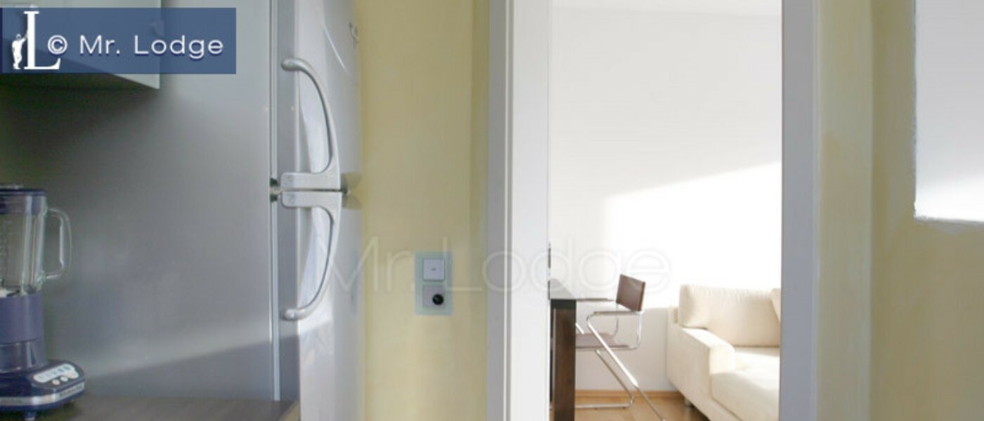 Wohnung München Trudering 04 Küche 2988