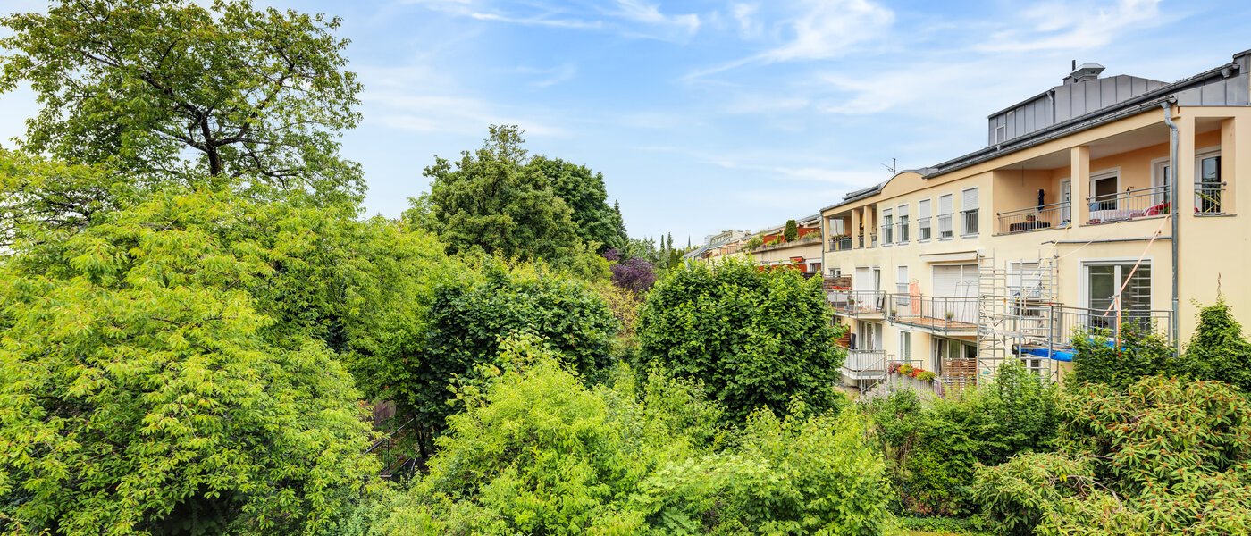 Wohnung München Harlaching 01 Aussicht 3096