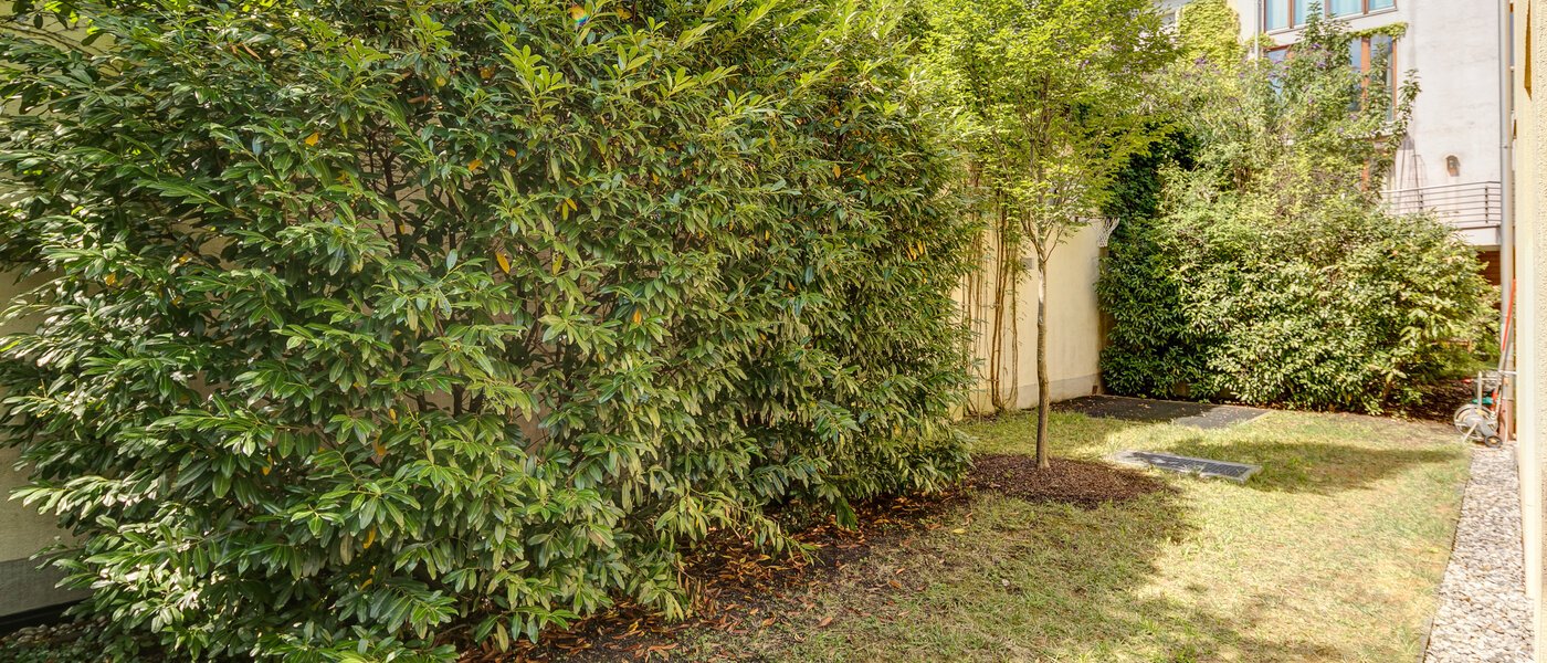 Doppelhaushälfte München Schwabing (links der Leopoldstraße) 02 Garten 3396