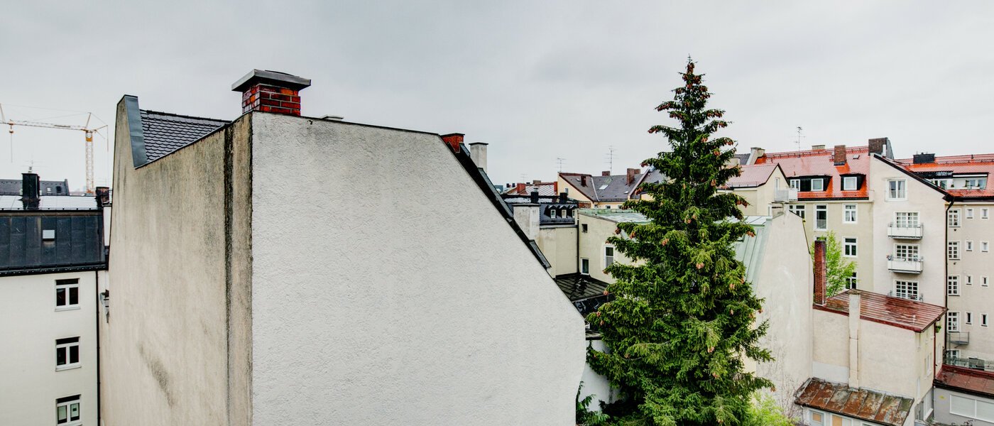Wohnung München Maxvorstadt - Universitätsviertel 02 Aussicht 3509