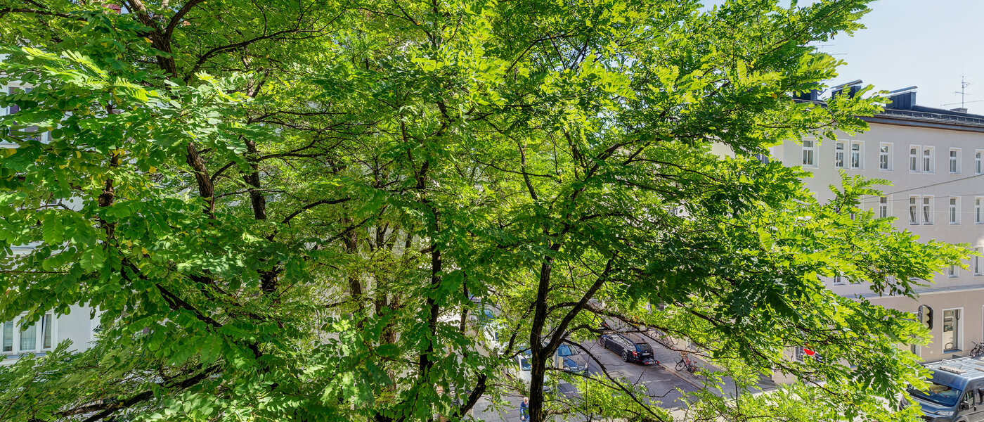 Wohnung München Maxvorstadt - Universitätsviertel 01 Aussicht 3592