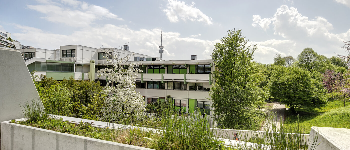 Wohnung München Olympiadorf 01 Aussicht 3688