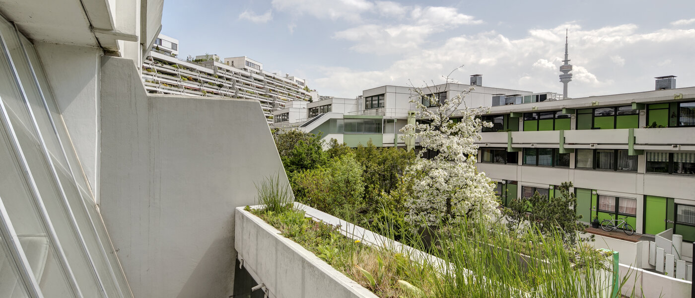 Wohnung München Olympiadorf 02 Aussicht 3688