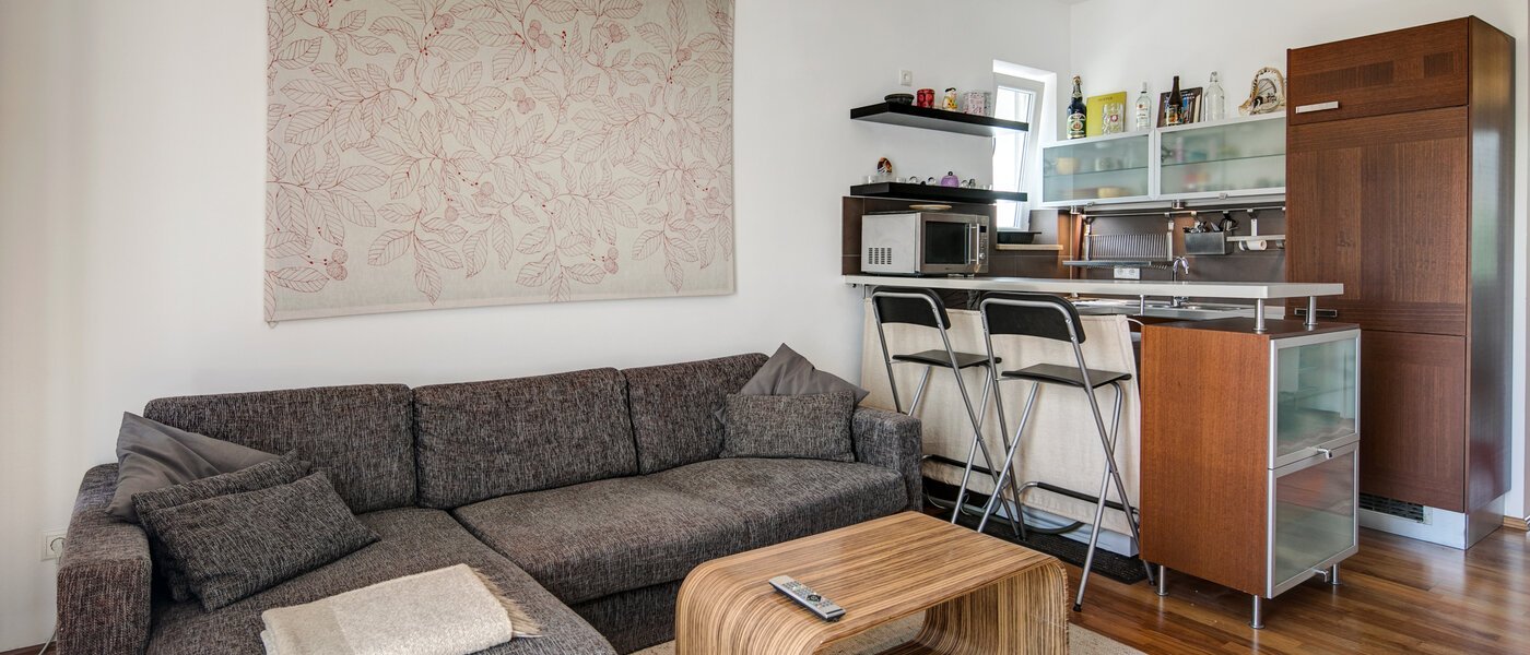 Wohnung München Hadern 01 Wohnzimmer 3824