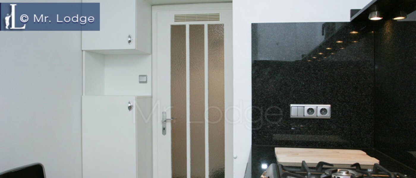 Wohnung München Maxvorstadt - Museumsviertel 03 Küche 3843