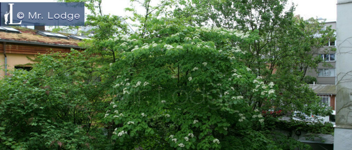 Wohnung München Maxvorstadt - Museumsviertel 05 Aussicht 3843