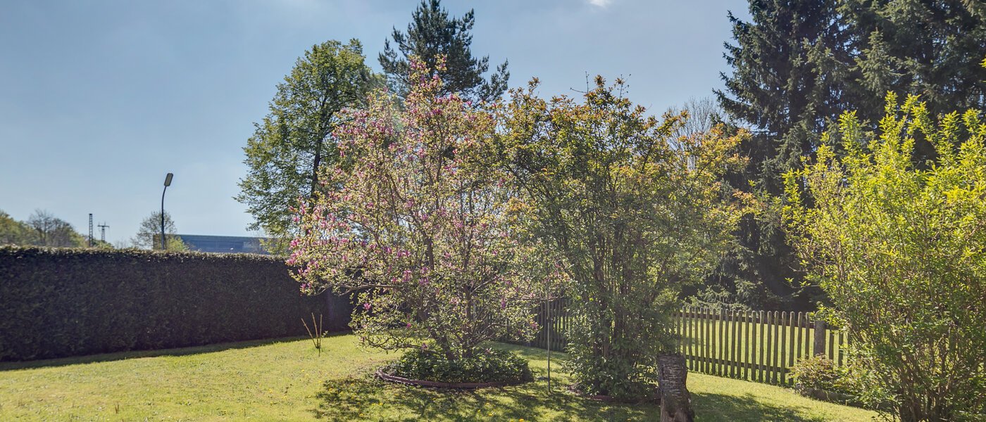 Wohnung München Moosach 01 Garten 402