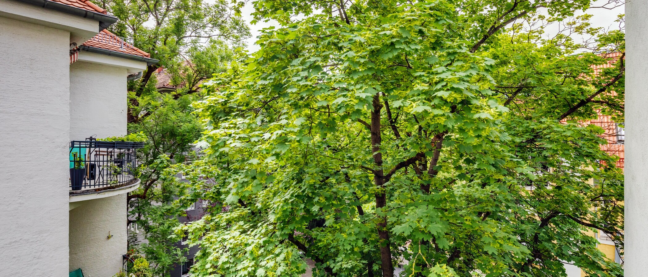 Apartment München Schwabing-West (rund um den Hohenzollernplatz) 02 Aussicht 4086