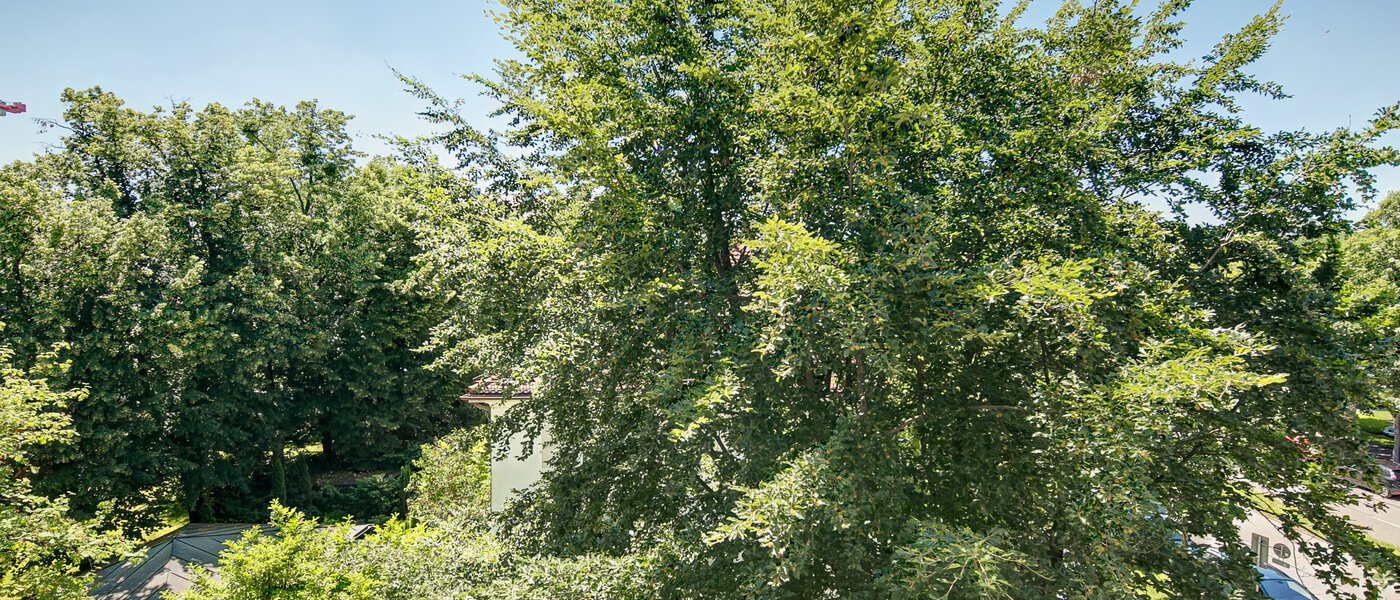 Apartment München Schwabing-Nord (zw. Leopoldstraße & Englischen Garten) 01 Aussicht 4089