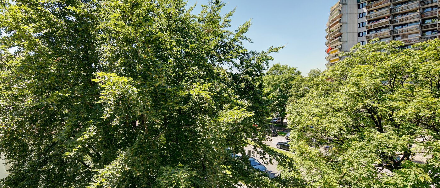 Apartment München Schwabing-Nord (zw. Leopoldstraße & Englischen Garten) 02 Aussicht 4089