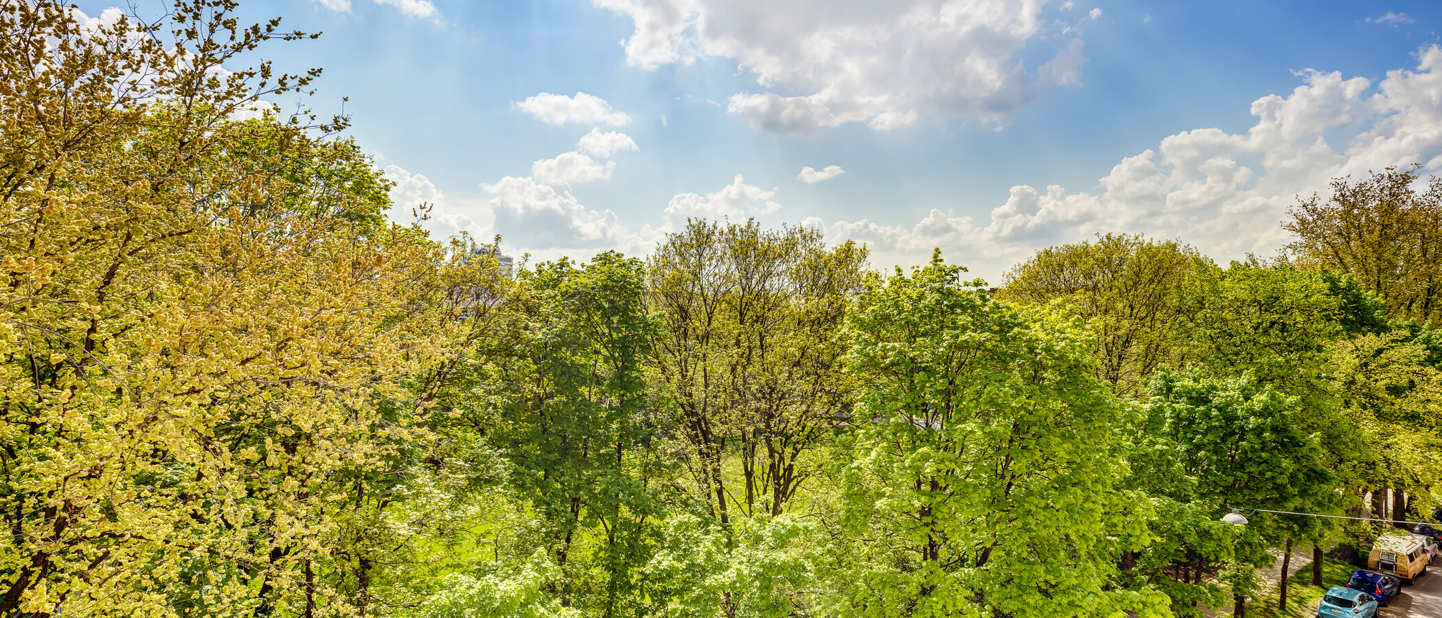 Dachgeschosswohnung München Obergiesing 01 Aussicht 4141