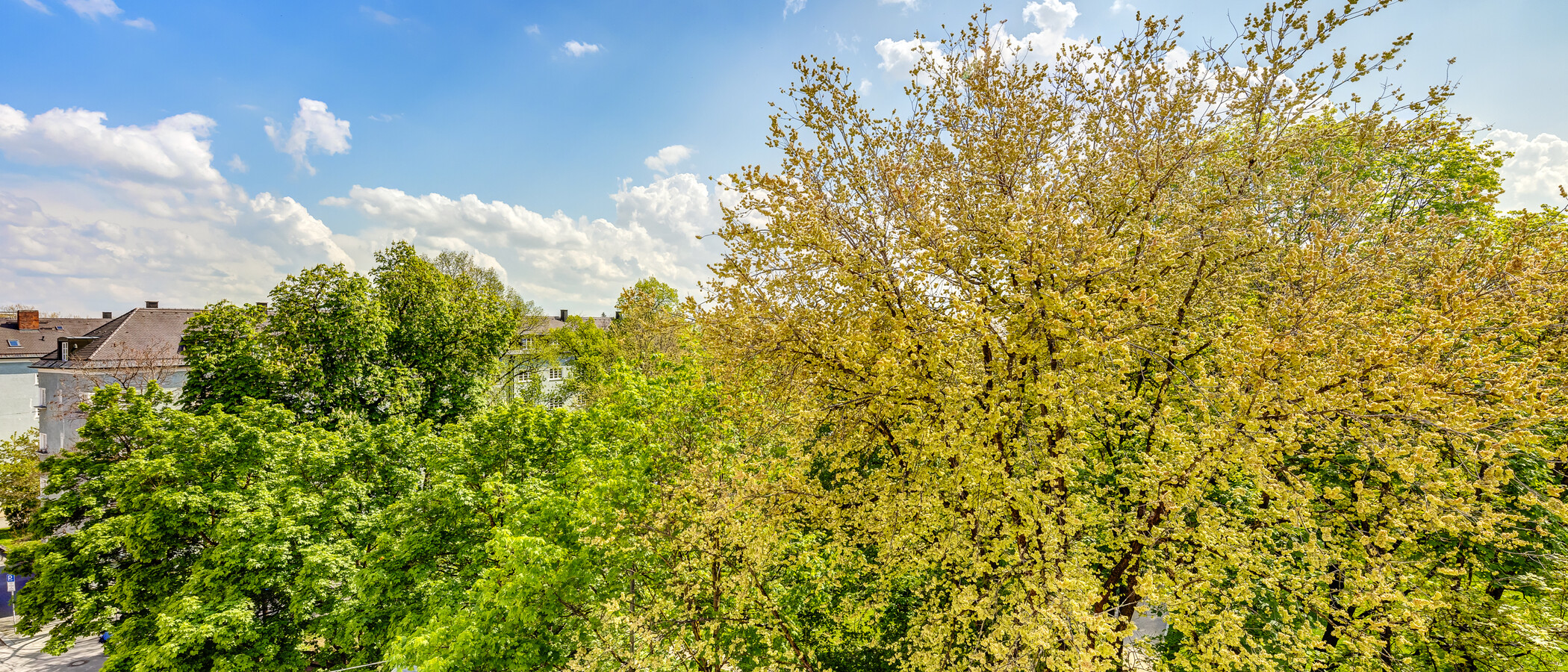 Dachgeschosswohnung München Obergiesing 02 Aussicht 4141