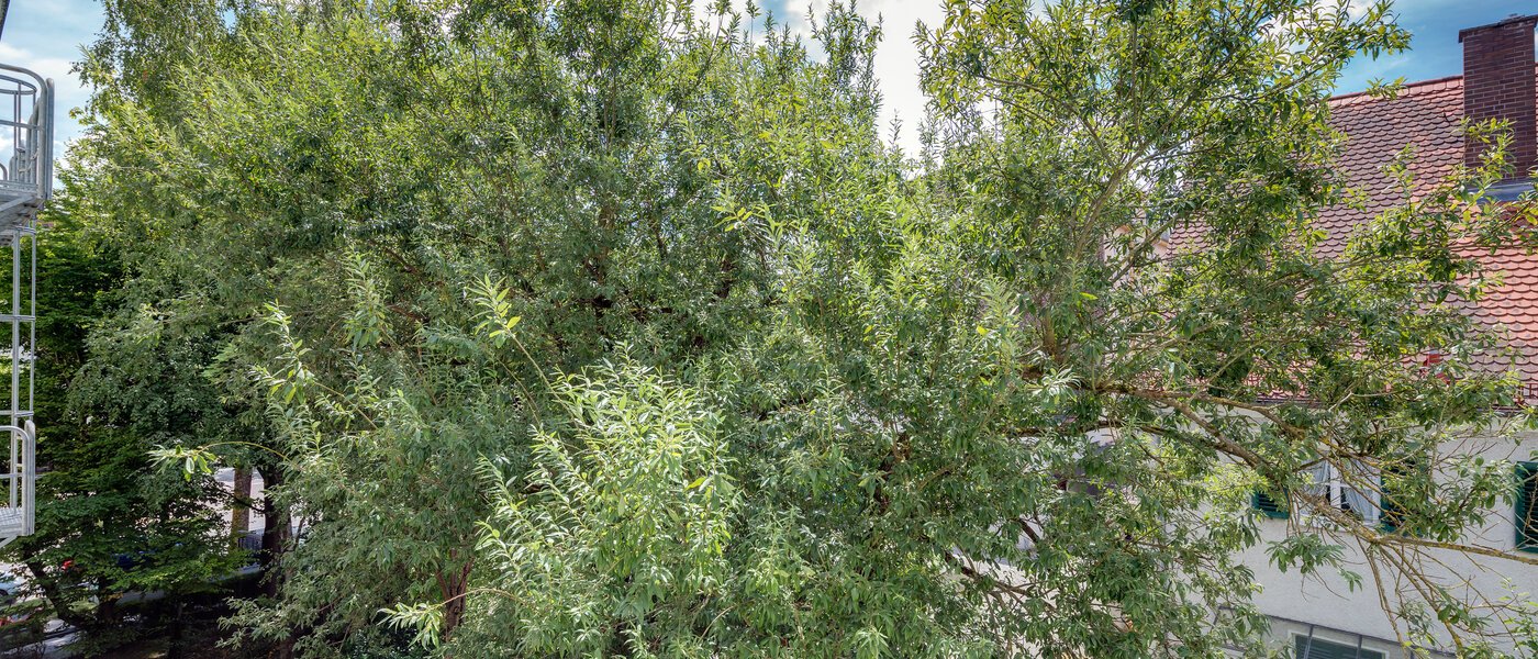 Wohnung München Giesing 02 Aussicht 4372