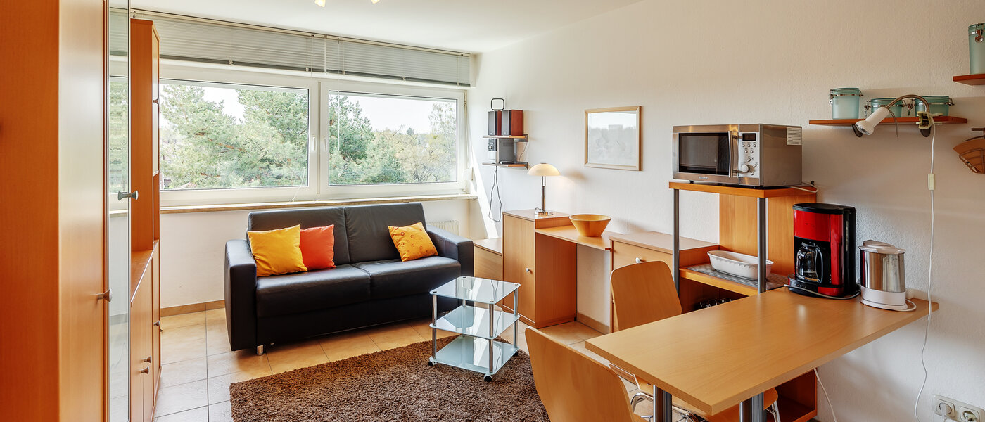 Apartment München Fasanerie 02 Wohnbereich 4411