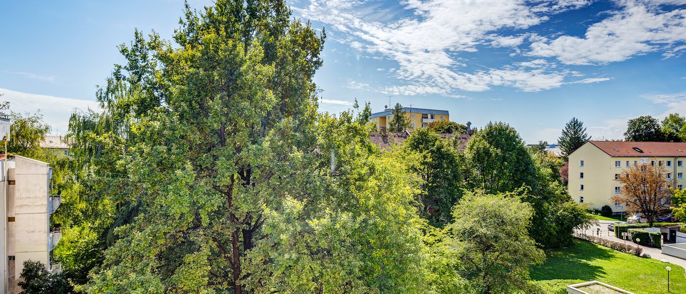 Wohnung München Sendling-Westpark 01 Aussicht 4419