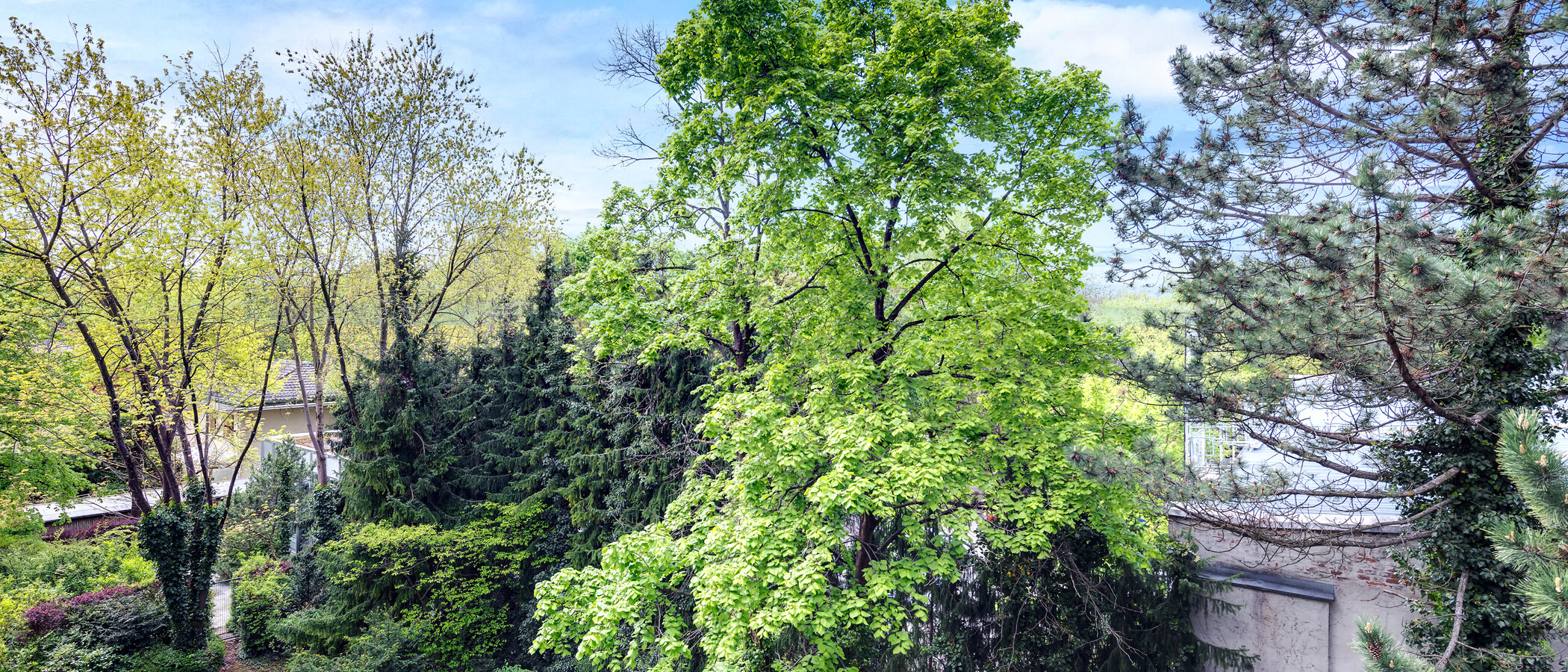 Wohnung München Schwabing-Nord (zw. Leopoldstraße & Englischen Garten) 01 Aussicht 4452