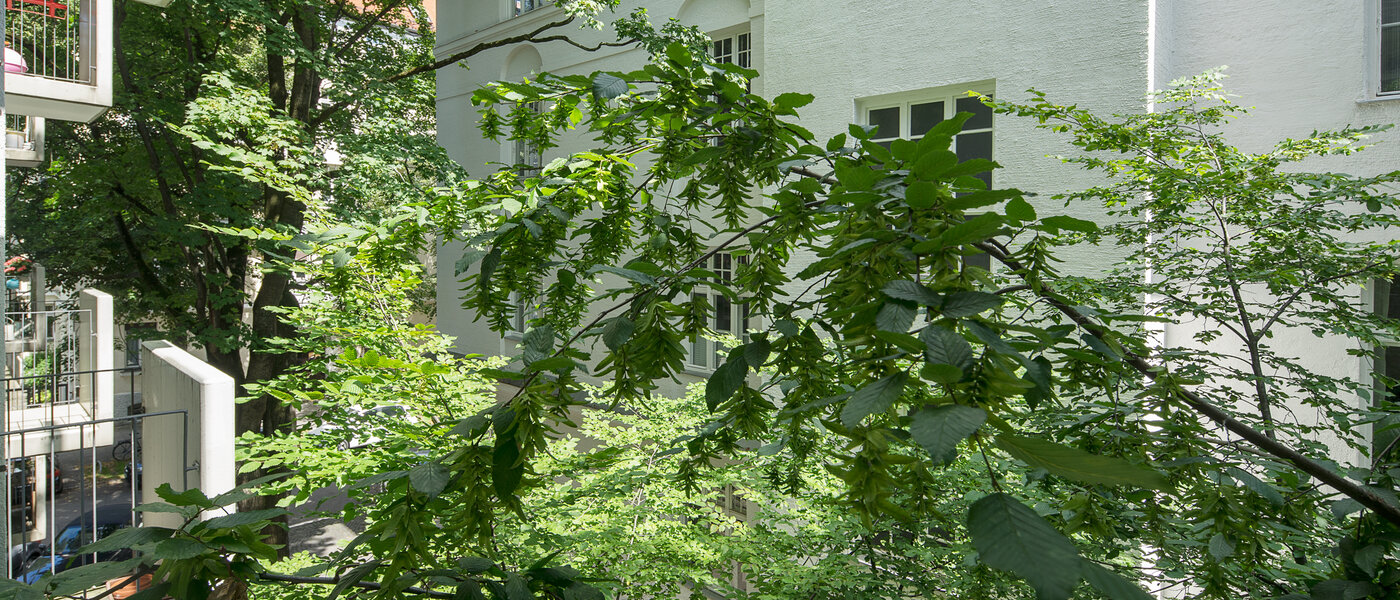Wohnung München Schwabing-West (rund um den Hohenzollernplatz) 01 Aussicht 4507