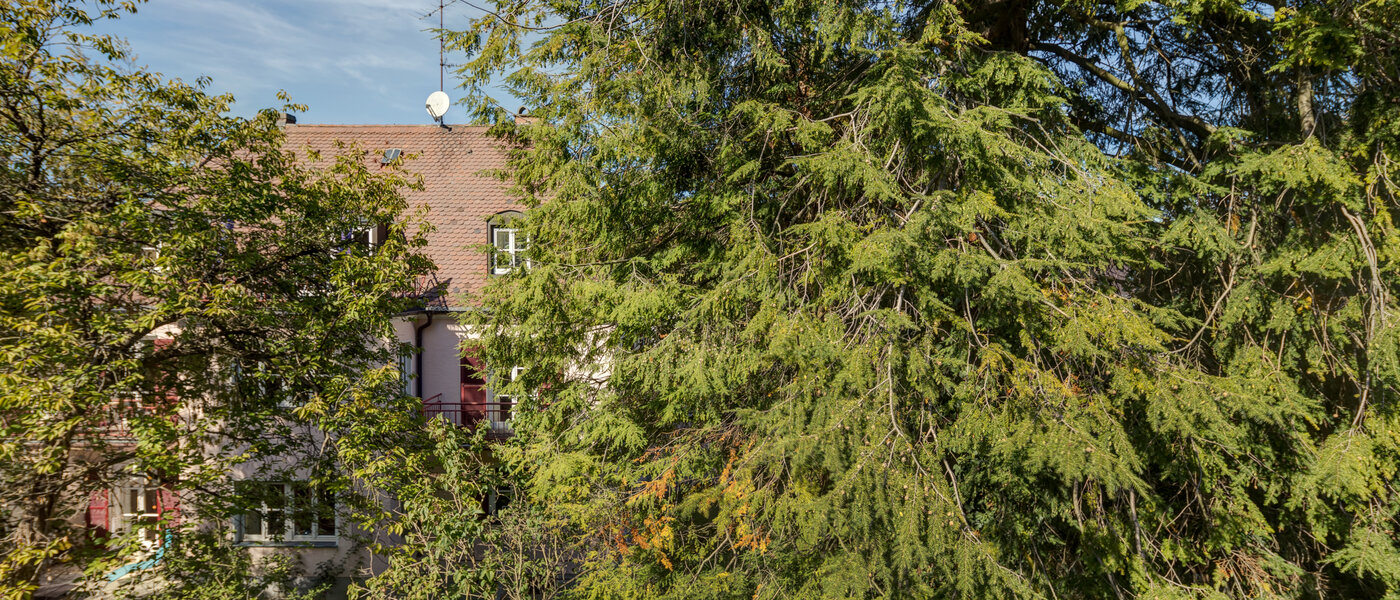Wohnung München Nymphenburg-Gern 02 Aussicht 4670