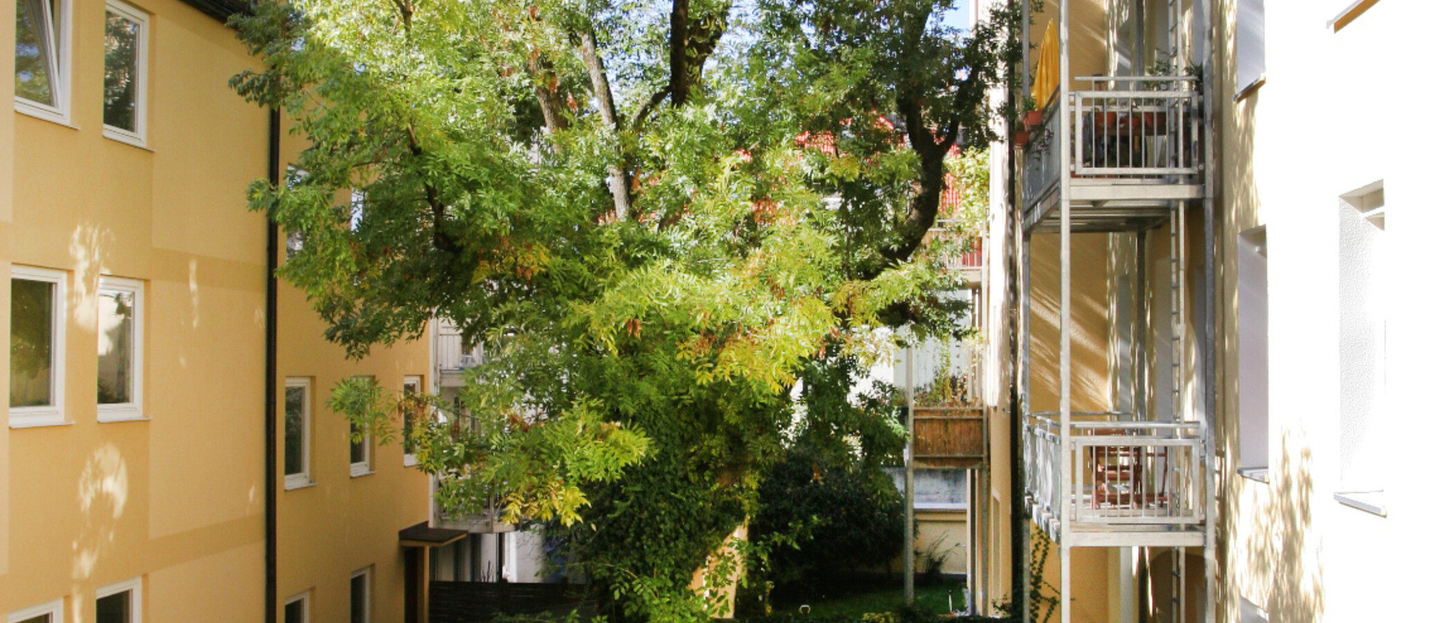 Dachterrassenwohnung München Westend 01 Aussicht 4763