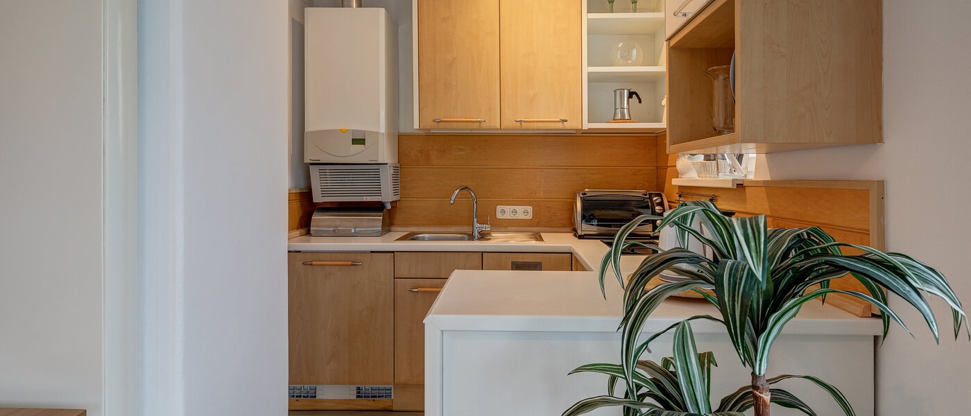 Wohnung München Glockenbachviertel 04 Küche 4880