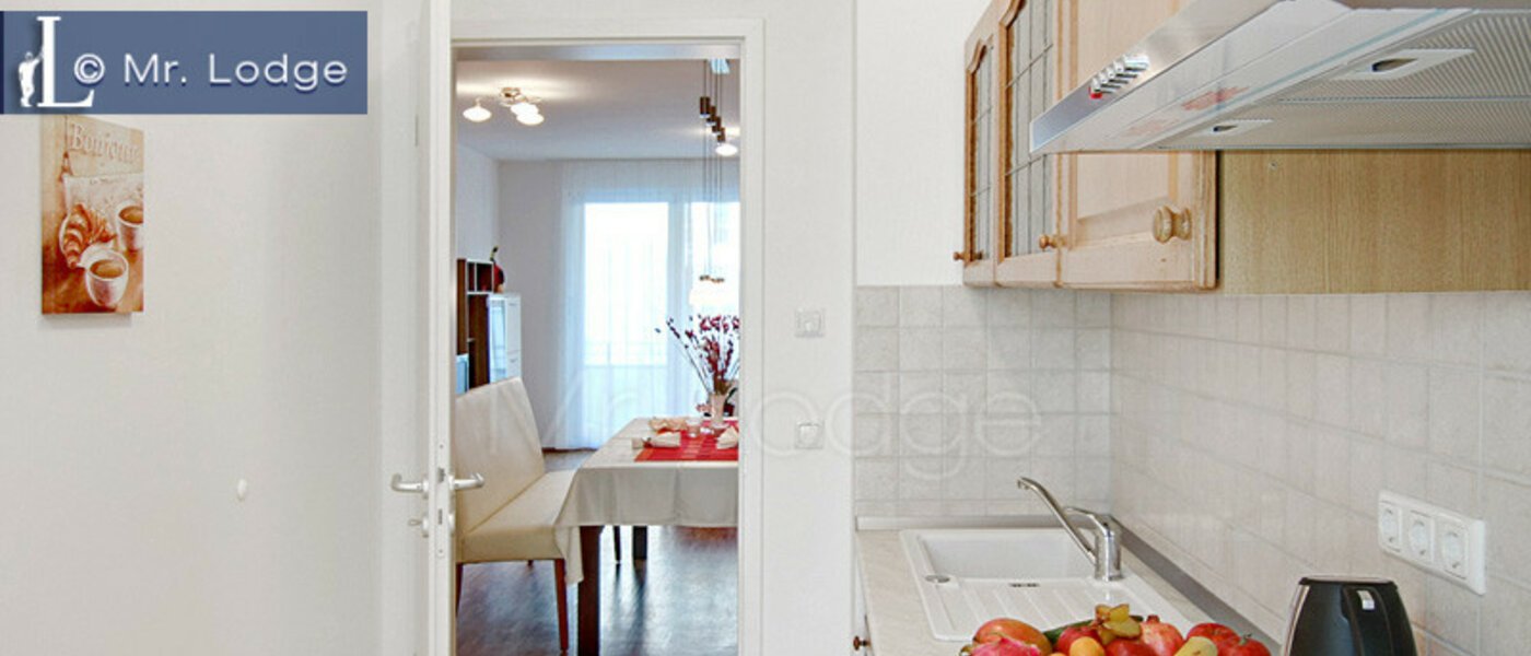 Wohnung München Maxvorstadt - Westen 02 Küche 4883