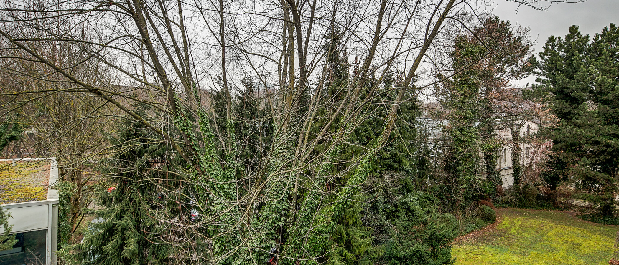 Wohnung München Schwabing-Nord (zw. Leopoldstraße & Englischen Garten) 03 Aussicht 4892