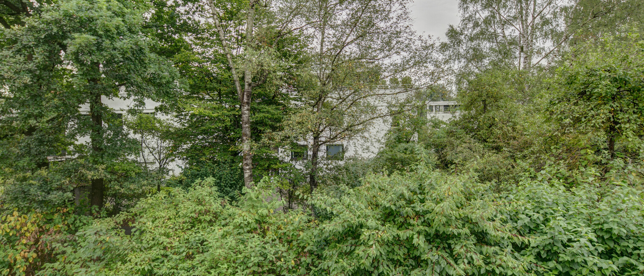 Wohnung München Schwabing - Alte Heide 03 Aussicht 4893