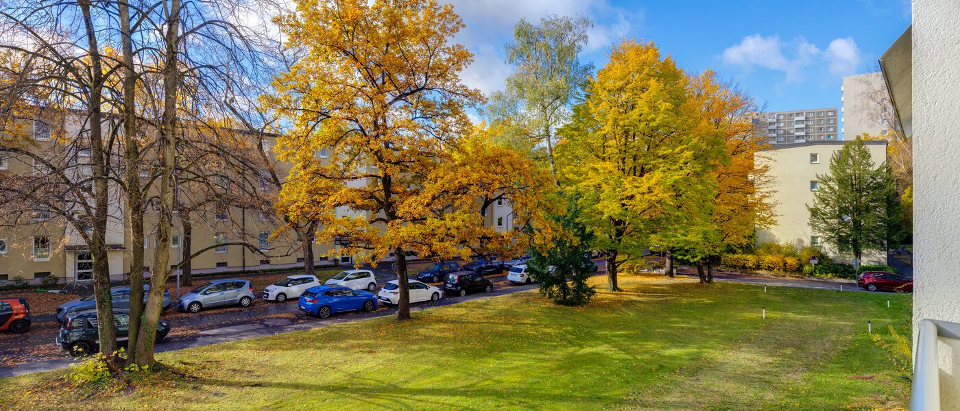 Wohnung München Bogenhausen 01 Aussicht 4956