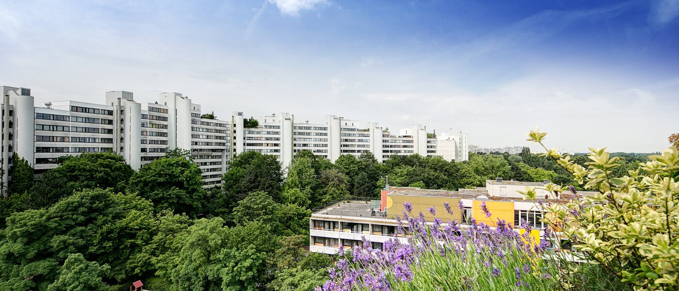 Wohnung München Olympiadorf 01 Aussicht 5242