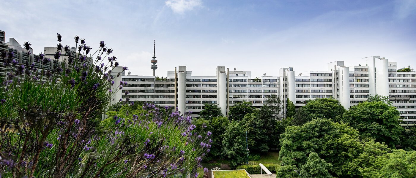 Wohnung München Olympiadorf 02 Aussicht 5242