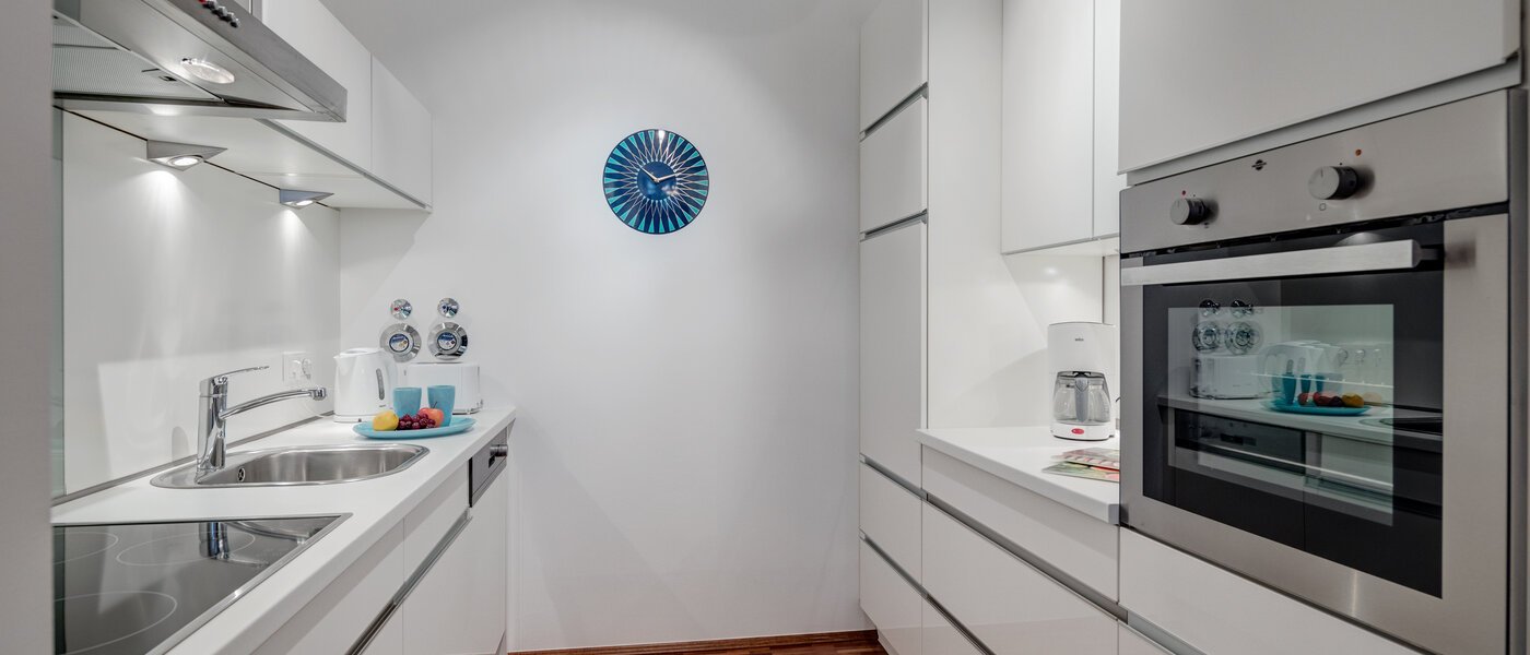 Wohnung München Isarvorstadt 01 Küche 5280