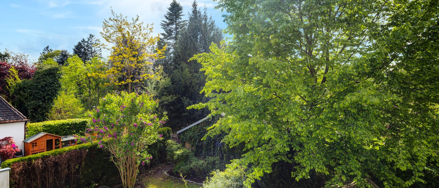 Reihenhaus München Westpark 01 Aussicht 5296