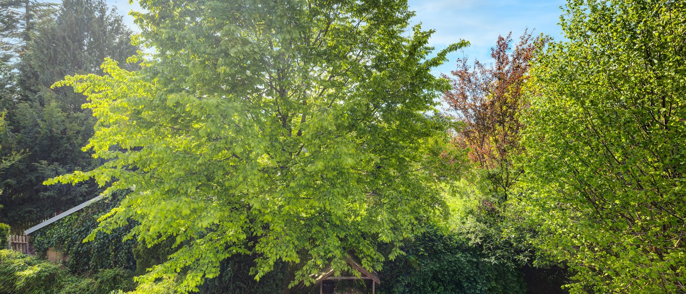 Reihenhaus München Westpark 02 Aussicht 5296